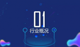 国产精品视频在线观看2019,在线观影指南